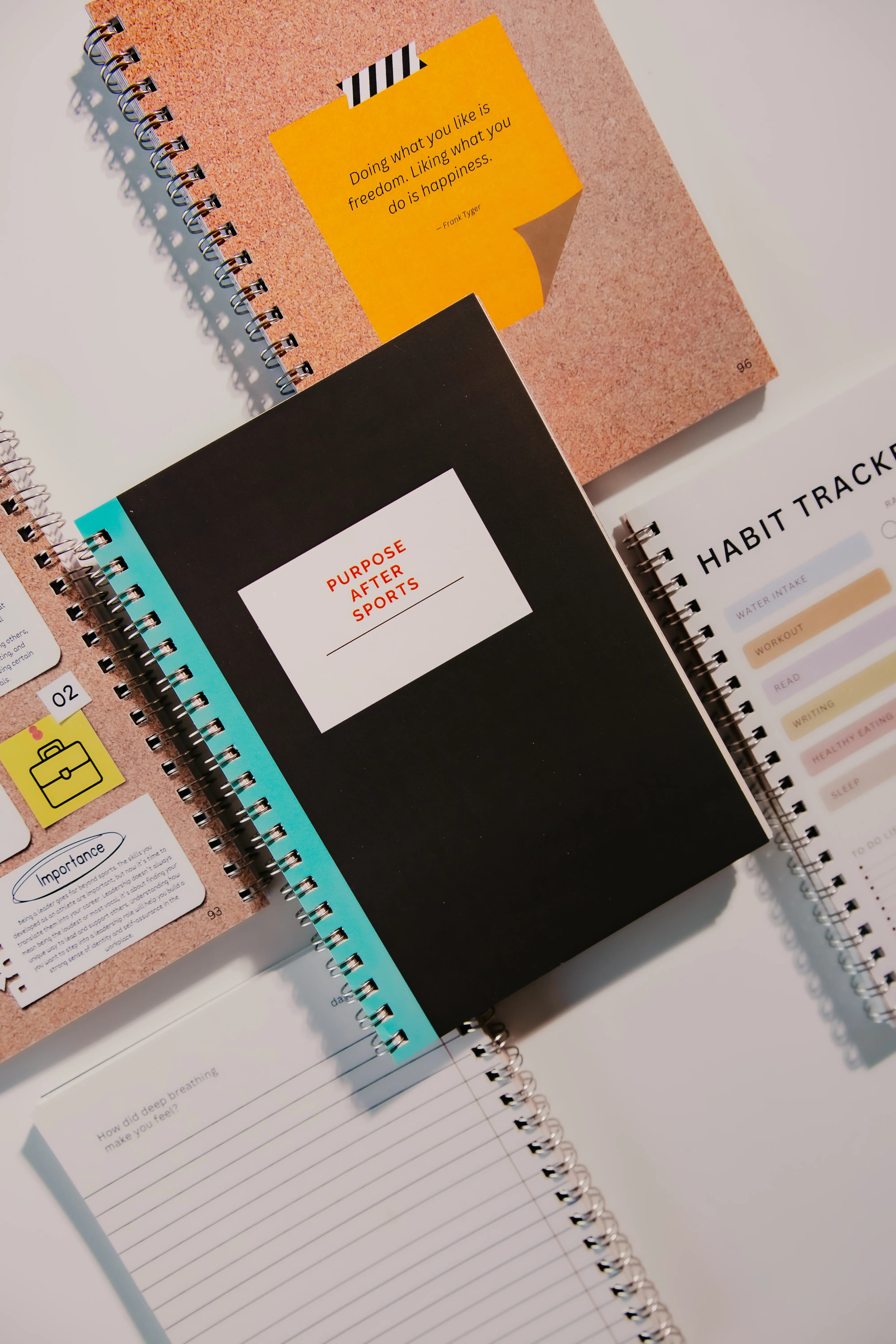 Purpose After Sports Journal